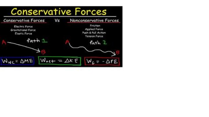 A Conservative Force Shaping American Politics