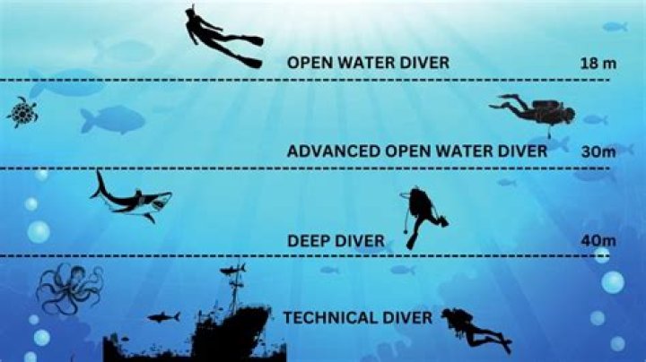 A Deep Dive For The "andi16" Niche