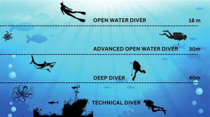 A Deep Dive Into The Marvelous Discovery
