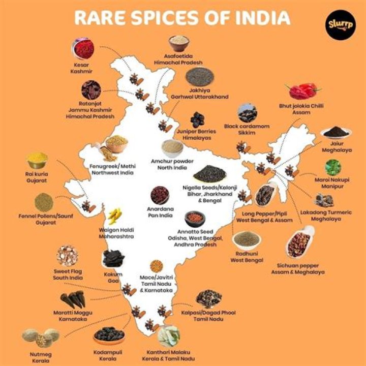 A Flavorful Journey Of Spice And Culture