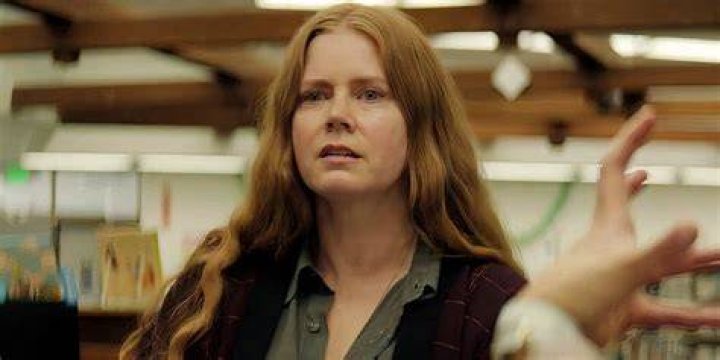 A Glimpse Into The Life Of Amy Adams' Husband: A Love Story Beyond The Spotlight