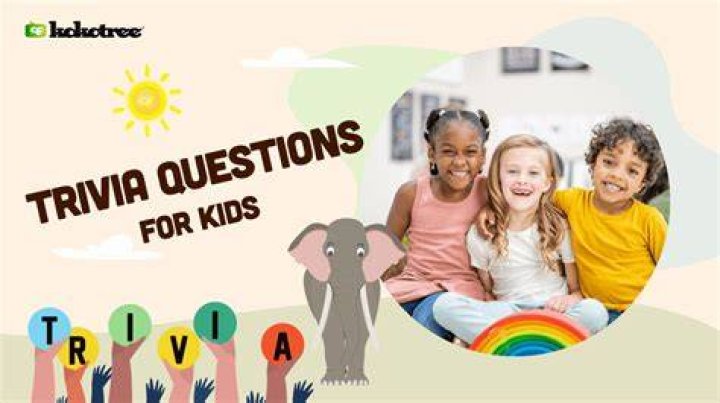 A Guide To Fun And Discovery