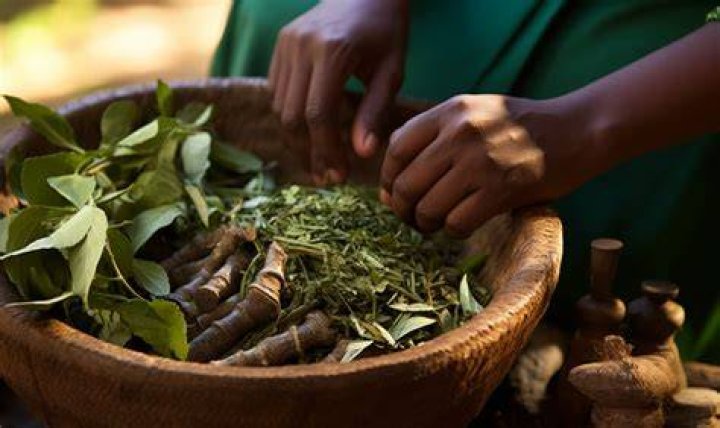 A Journey Into Herbal Healing