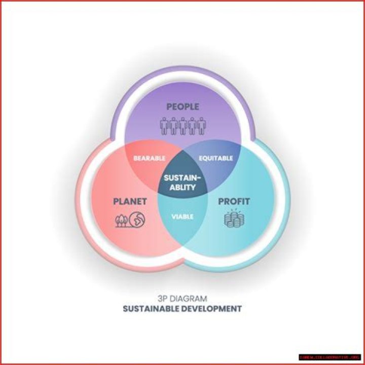 A Journey Into Political Excellence And Community Impact