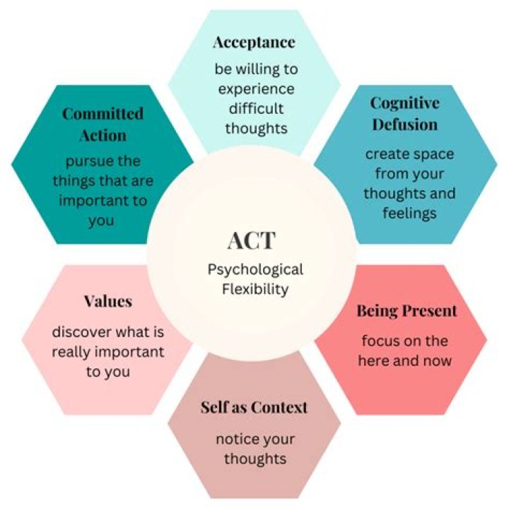 A Journey Of Acceptance And Inclusivity