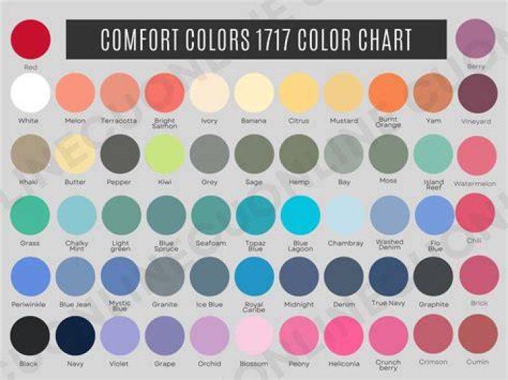 A Journey Of Color And Comfort