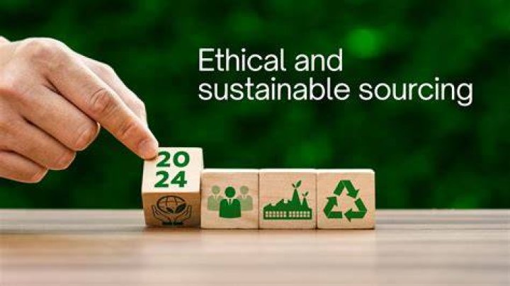 A Journey Of Ethical Style And Sustainability