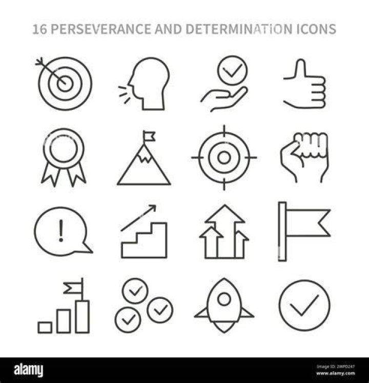 A Journey Of Goals And Determination