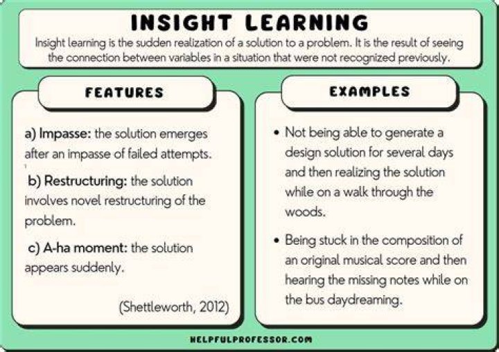 A Journey Of Insight And Influence