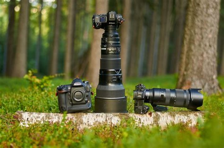 A Journey Of Photography And Love