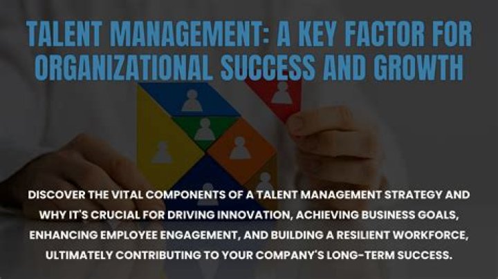A Journey Of Talent, Passion, And Investments