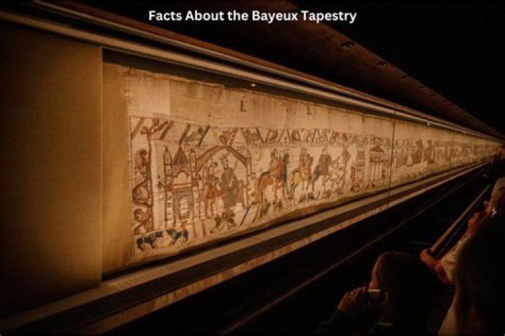 A Tapestry Of Talent And Discovery