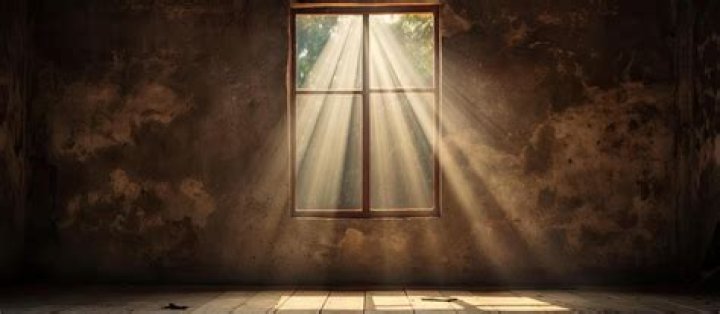 A Window Into Talent, Charity, And True Companionship