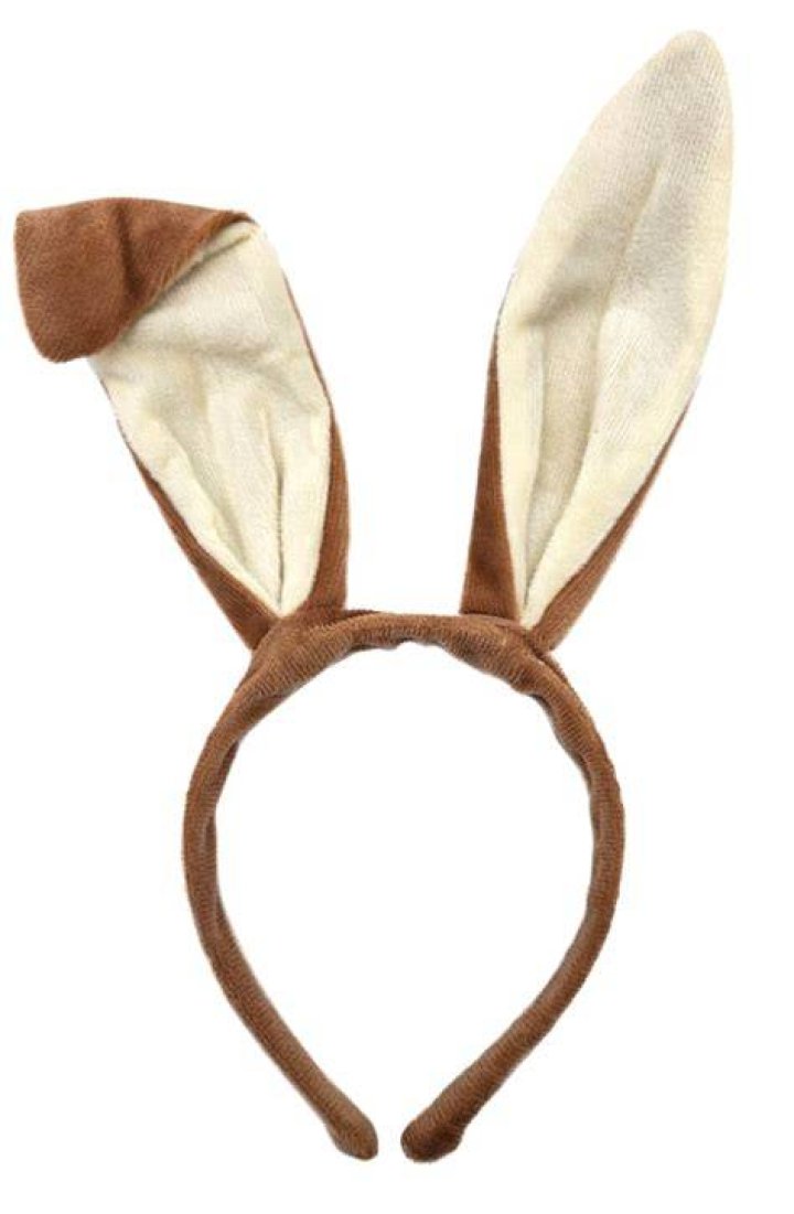 Adorable Bunny Ear Headband In Chic Brown
