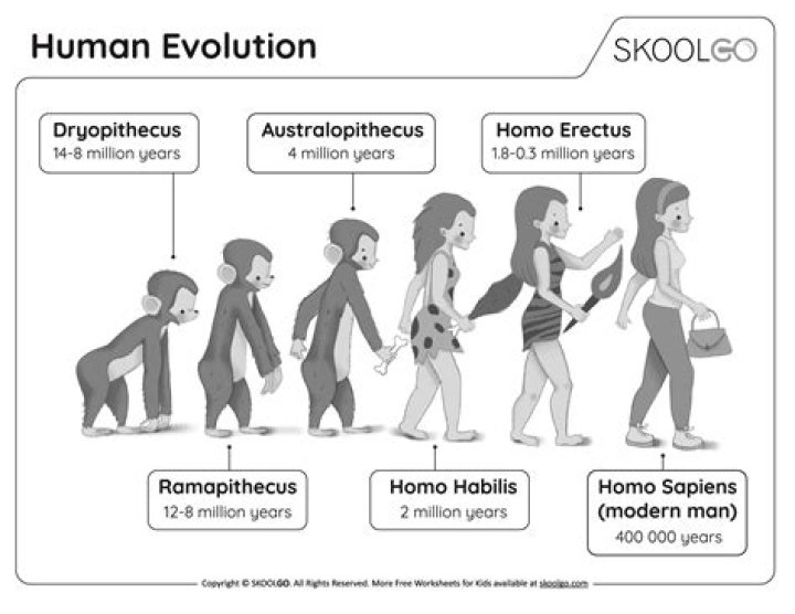 Age, Evolution, And Timeless Appeal