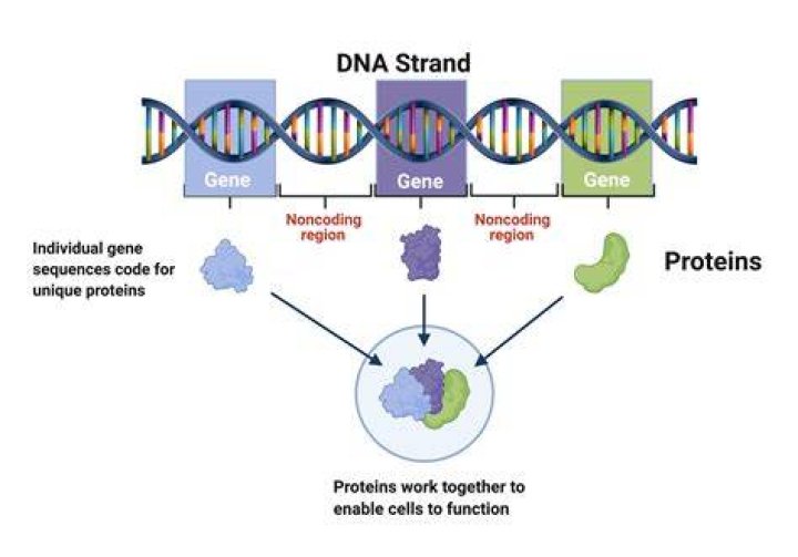 Age, Identity, And The Power Of DNA
