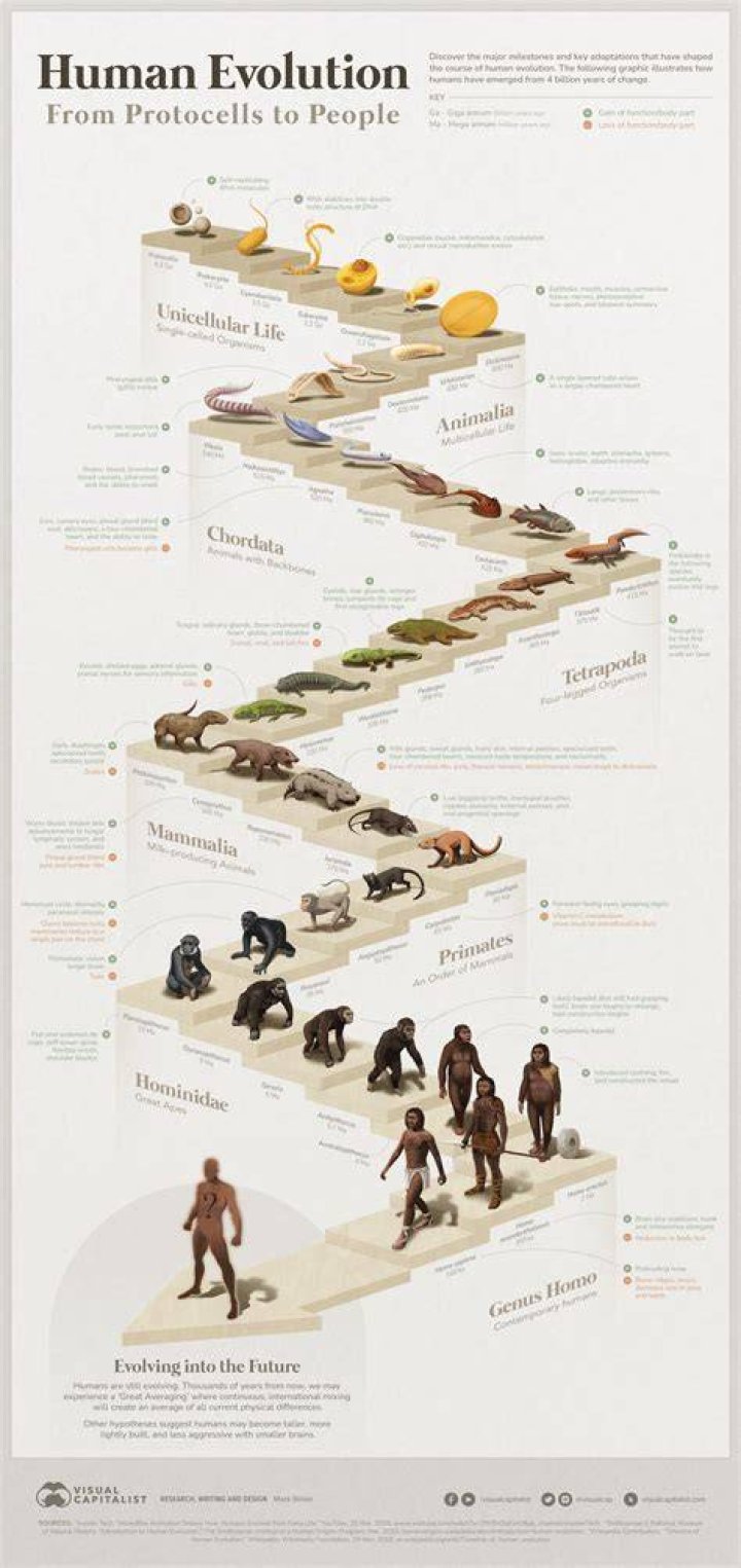 Age, Success, And Life's Evolution