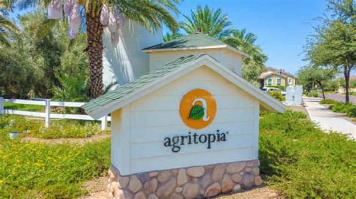 Agritopia Gilbert Homes for Sale: Listings & Info
