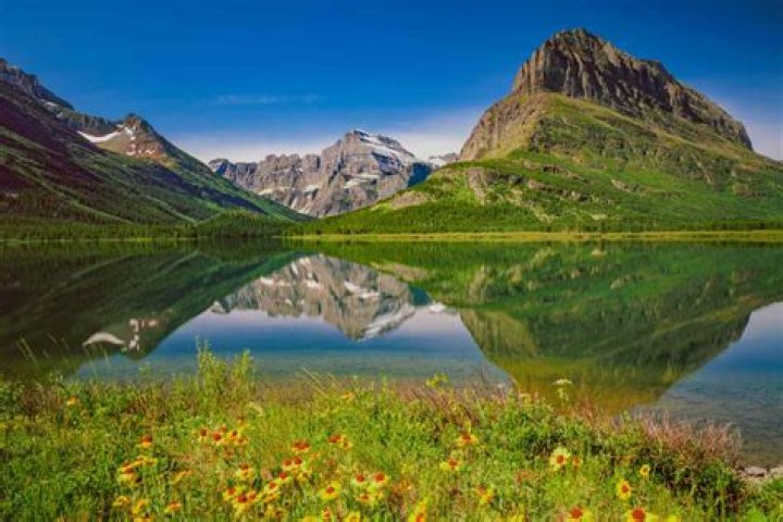 Alex Blair Meets Majiik Montana