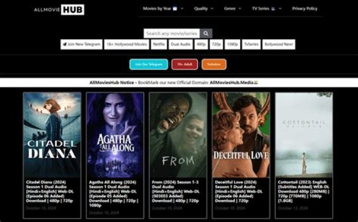 Allmovieshub Guide 2024: Movies, Safety & Alternatives