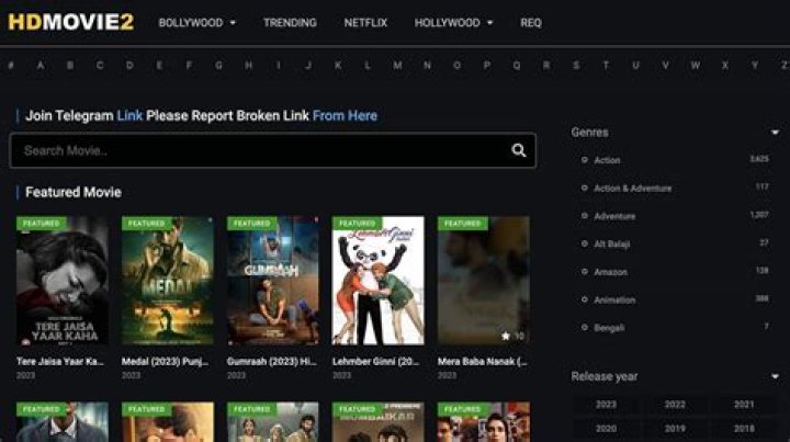 Alternatives to Hdmovie2: Where to Watch Movies & TV Shows?