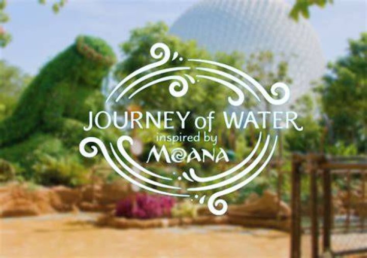 An Actor's Journey Of Discovery