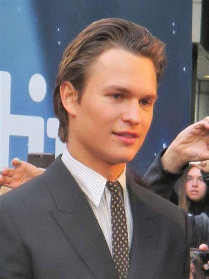 Ansel Elgort Minor Allegations And Aftermath