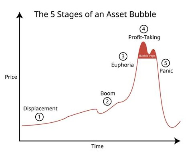 Asset Market (Bubbles & Crashes) Guide