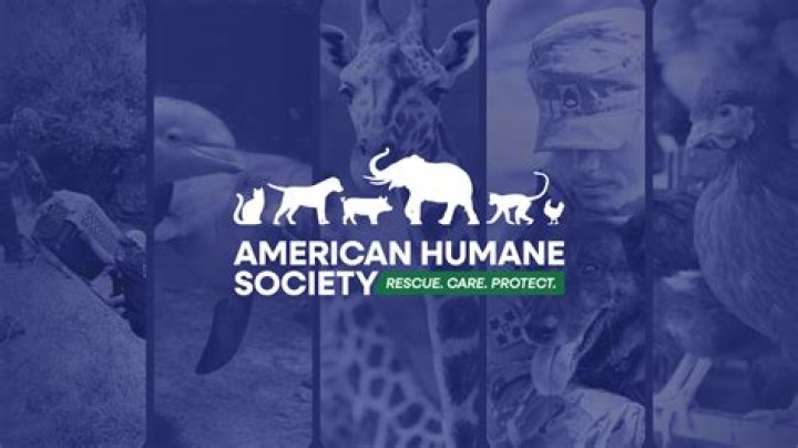 Avoid The Pain: A Humane Way To End Your Suffering
