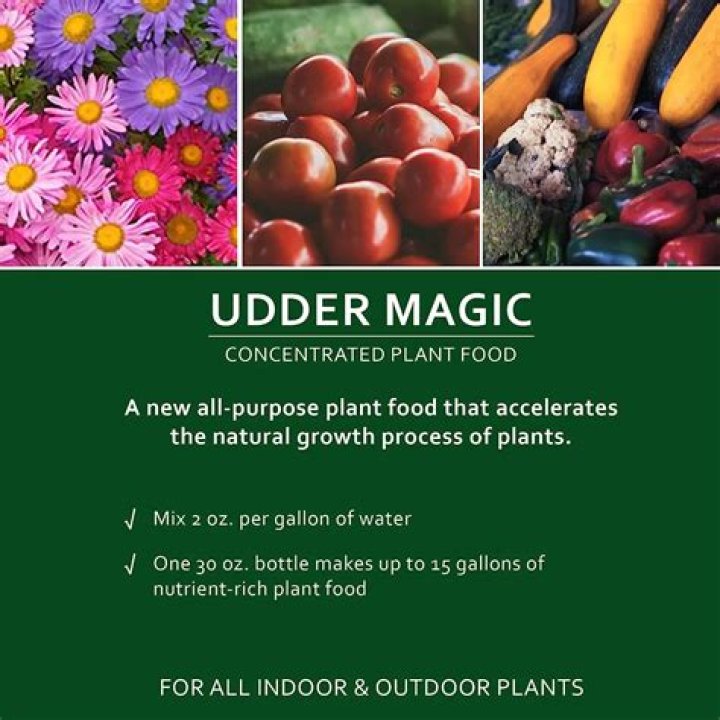 Best Buy Roberta's Flower Magic Liquid Plant Food Black Friday 2014 Deals