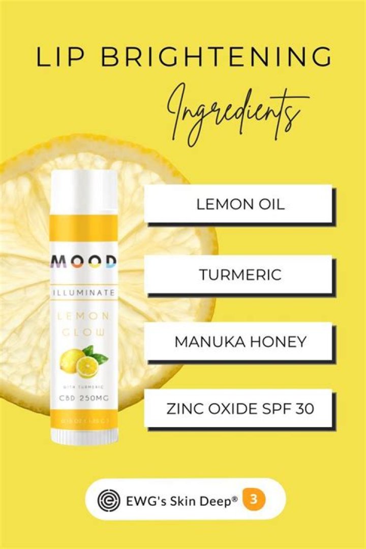 Best Lip Balms & Moisturizers: Expert Picks & Reviews!