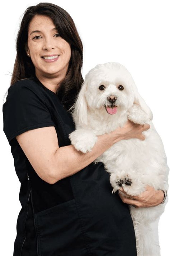 Best Vet Care in Piscataway, NJ | Top Clinic