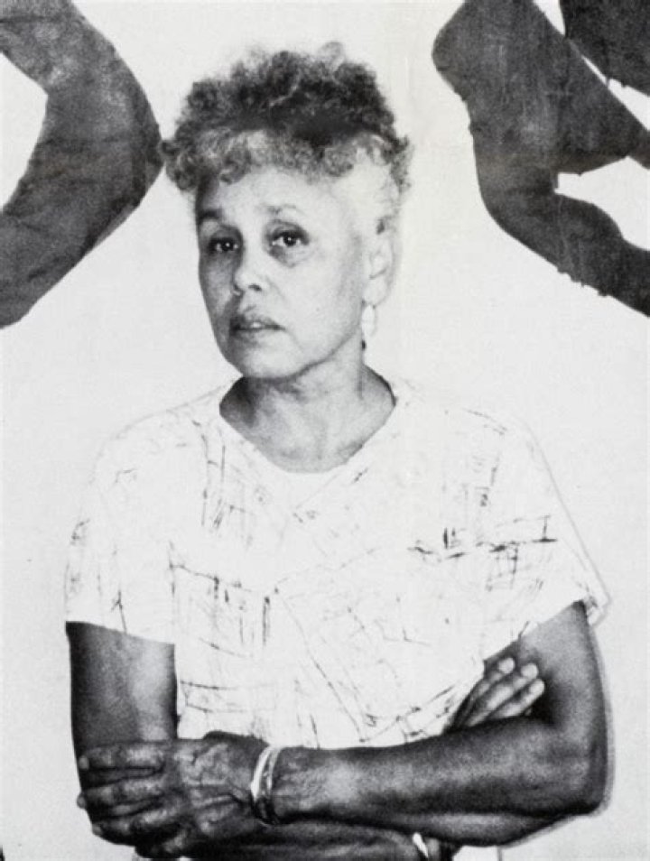 Bettye Saar's Art Unveils Identity And Justice