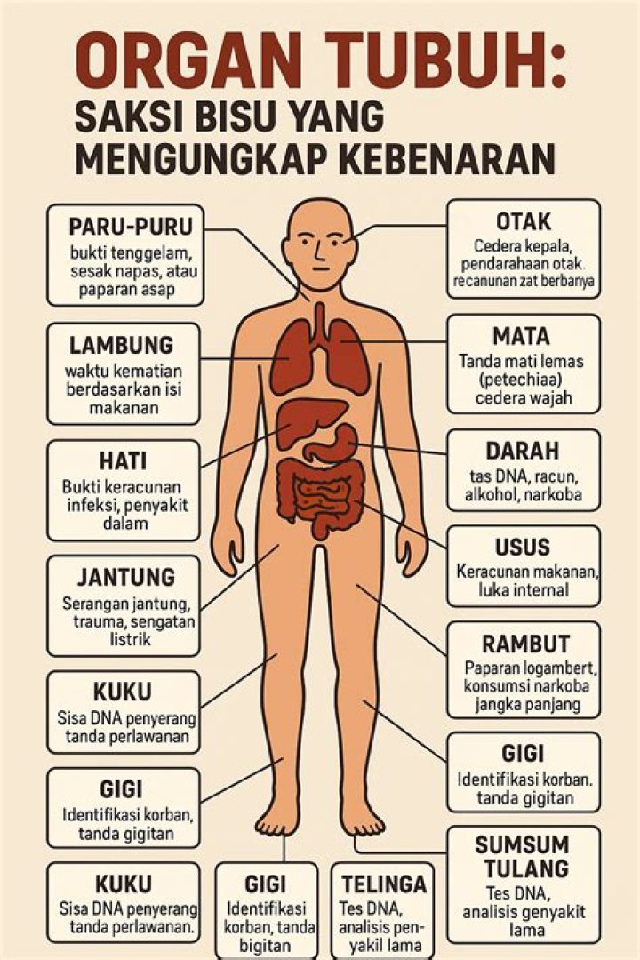 Biografi, Usia, Dan Kontrak Yang Mengungkap