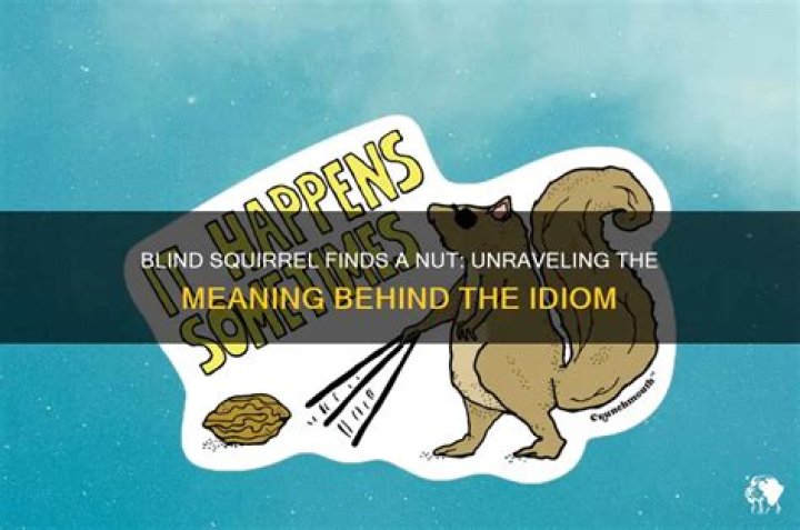 "Blind Squirrel" Saying Explained: Meaning, Origins & Applications