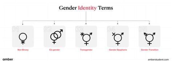 Brittney Griner: Understanding Birth Gender And Identity