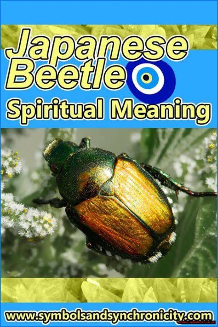 Brown Beetle Spiritual Meaning Revealed