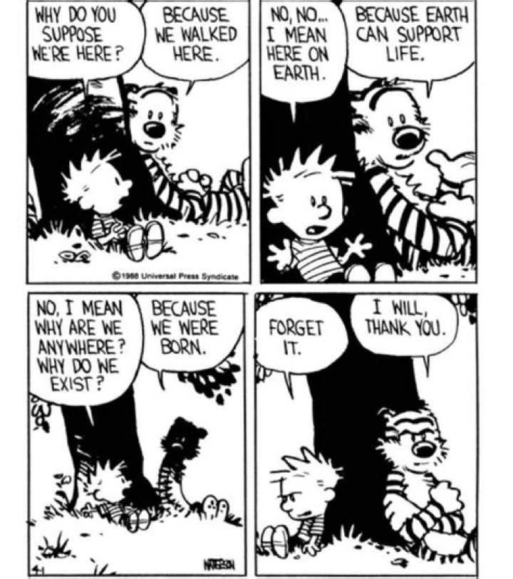 Calvin and Hobbes: Exploring Existentialism and Meaning