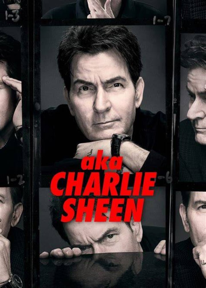 Charlie Sheen's Comeback: Sobriety, New Shows & More!