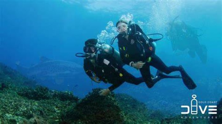 Chelsea Marie Dive Boat: Your Underwater Adventure Awaits