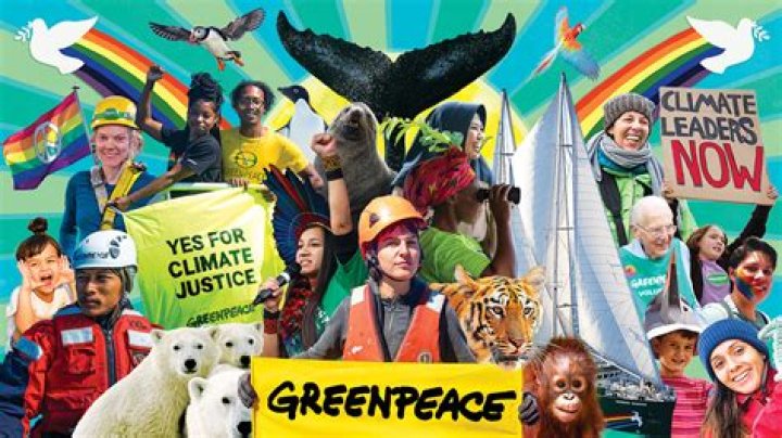 Climate Insights From Babs Olusanmokun Dune For Climate Activists
