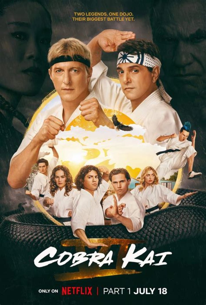 Cobra Kai: Unraveling The Story Of Lawrence's Son