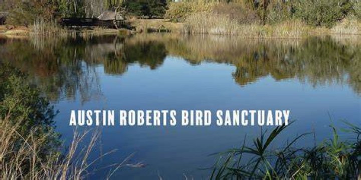 Como-Harriet Streetcar and Roberts Bird Sanctuary – Kinoodle Minnesota Living