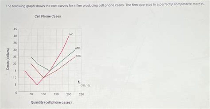 Competitive Market Instructions