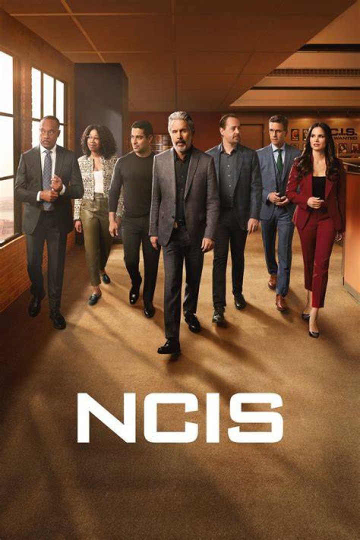 Cote De Pablo Today: Catching Up With The NCIS Alum