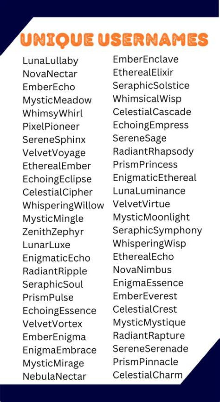 Creative And Playful Fun Usernames For Everyone