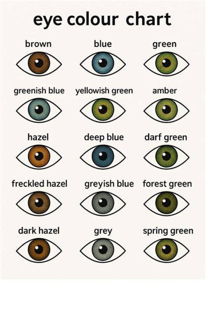 Decoding The Eye Color Of Donald Trump: What Color Eyes Does He Have?