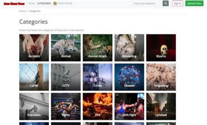 Deep Gore Tube & Sites Like Bestgore: Uncensored Reality & Shock Content
