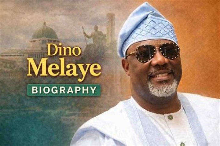 Dino Melaye's Biography And Net Worth