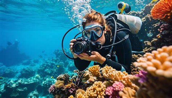 Discover Delfina: The Essential Guide To Underwater Exploration